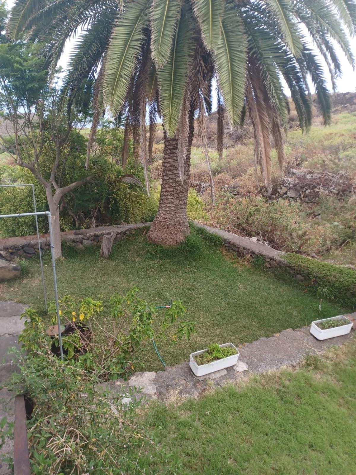 Casa Rural El Olivo De Mazo Luaran gambar